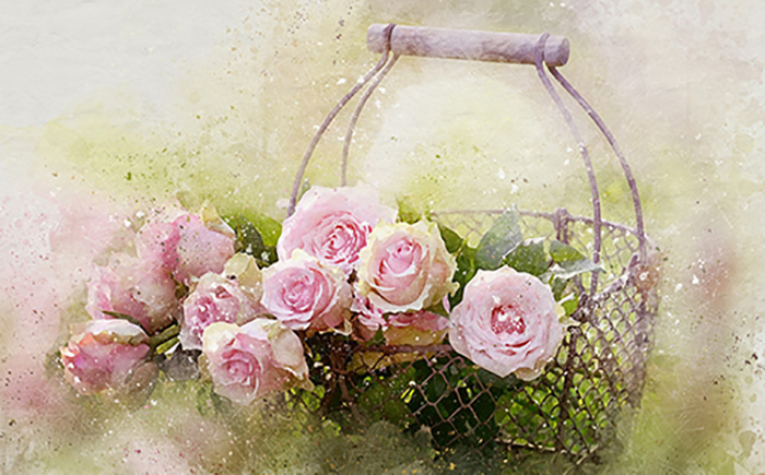 watercolor-roses